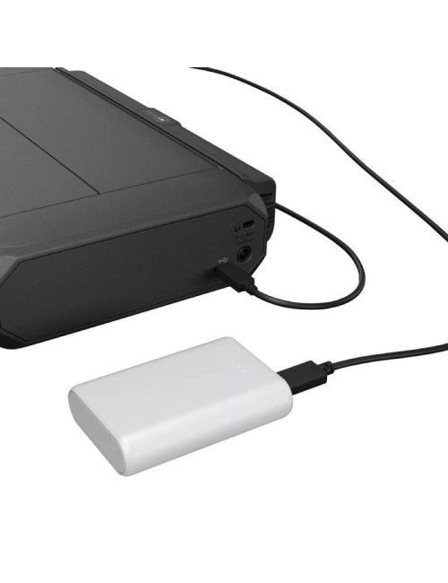 Impresora Portátil Canon MAXIFY BX110 WiFi/ Negra