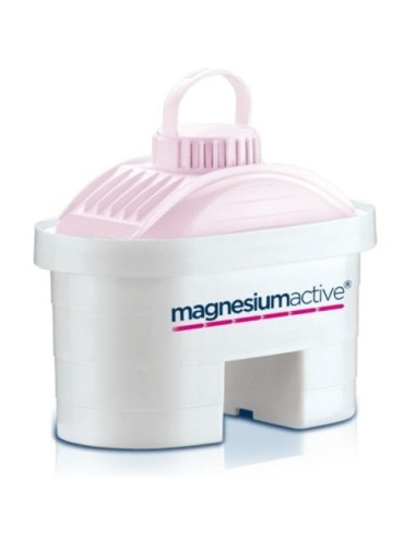 Filtros BI-FLUX Laica Magnesiumactive G2M/ Pack 2
