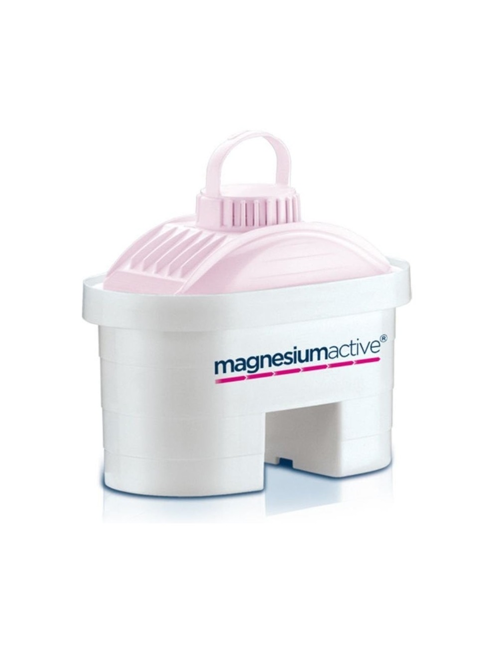 Filtros BI-FLUX Laica Magnesiumactive G2M/ Pack 2