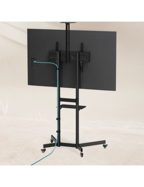 Soporte de Suelo Inclinable con Ruedas TooQ NEFERTITI FS1151M-B para TV de 37-70'/ hasta 70kg
