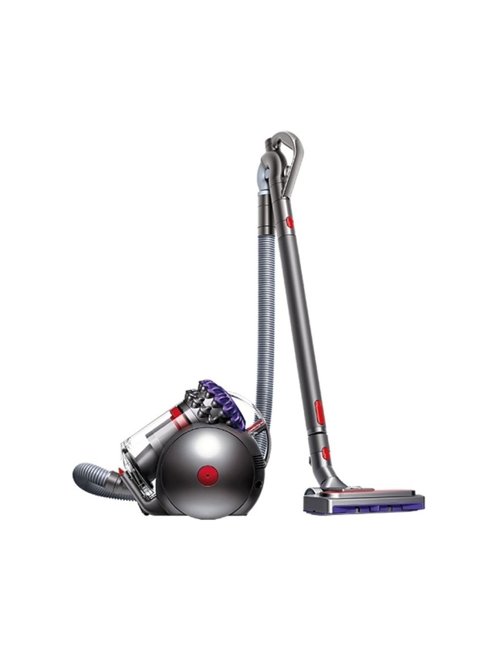 Aspiradora Dyson Big Ball Parquet 2