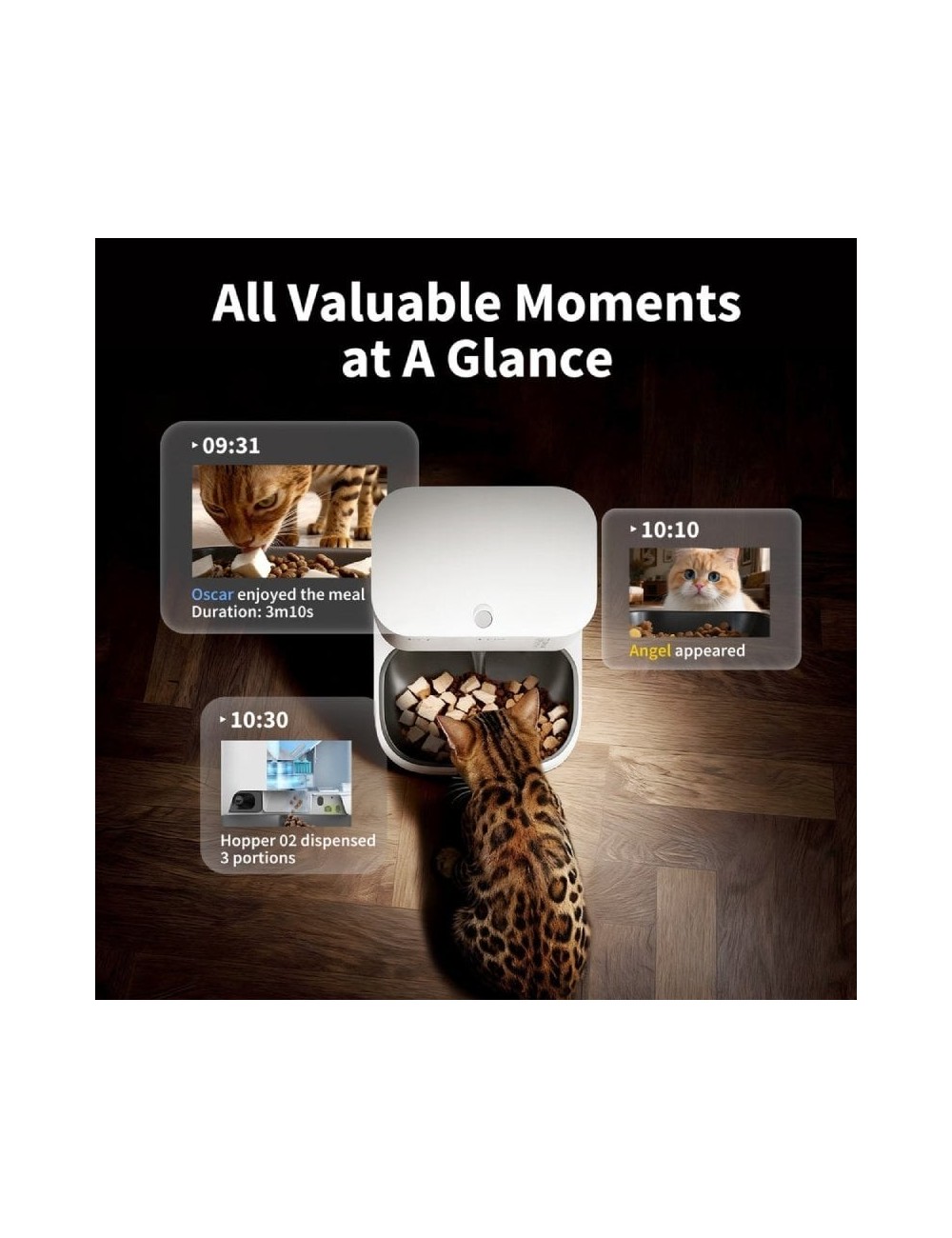 Comedero de mascotas Inteligente PetKit YumShare Dual-Hopper 2/ Cámara HD/ con Micrófono