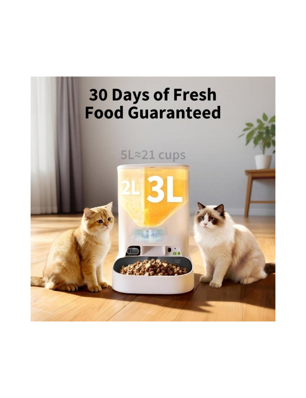 Comedero de mascotas Inteligente PetKit YumShare Dual-Hopper 2/ Cámara HD/ con Micrófono