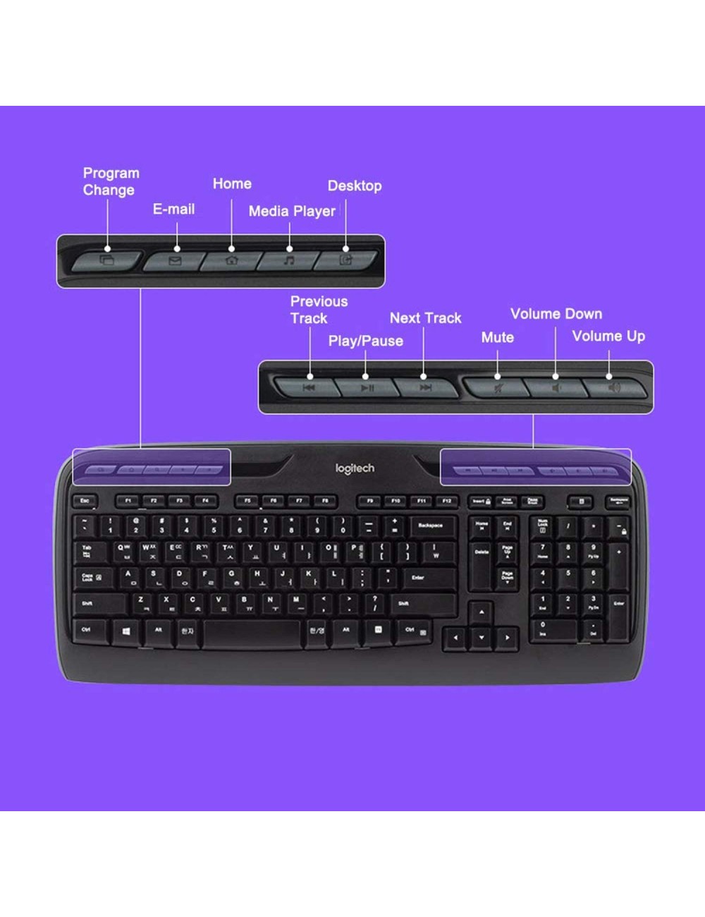TECLAT RATOLI LOGITECH MK330 WIRELESS SPANISH ( 920-003978 )